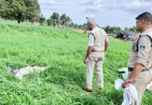 अहिल्या यादव हत्याकांड में नामजद आरोपी की गांव के पास में ही मिली सड़ी गली लाश…