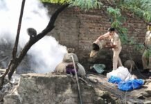 प्रहराधिकारी धोलाराम विश्नोई एक्शन मोड में, 1300 लीटर वॉश नष्ट — अवैध शराब माफियाओं में दहशत..